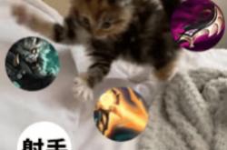 每次打团都瞬移——澳洲lol国服玩家的日常