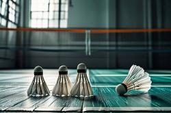 战术执行力：职业体育战术体系的 “落地保障”