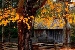 英雄聯(lián)盟全球总决赛冠亚軍(jūn)决赛四川(chuān)打(dǎ)响