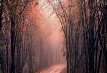 下一代“人造太阳”研究计划首次发布