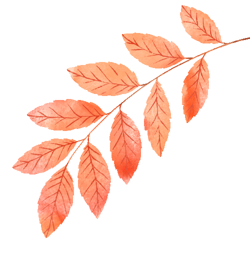 揭秘口腔“黑科技”